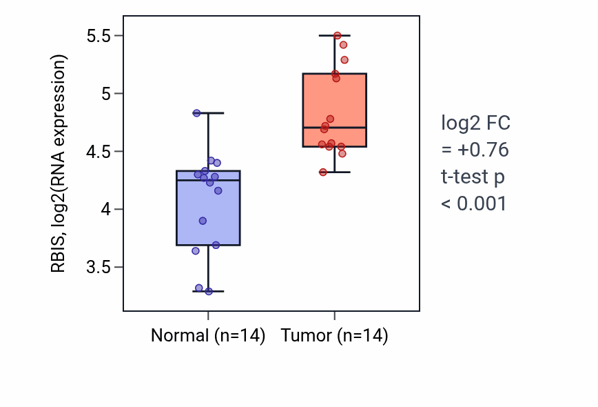 Tumor-vs-normal expression box plot for RBIS RNA in KIRC.
