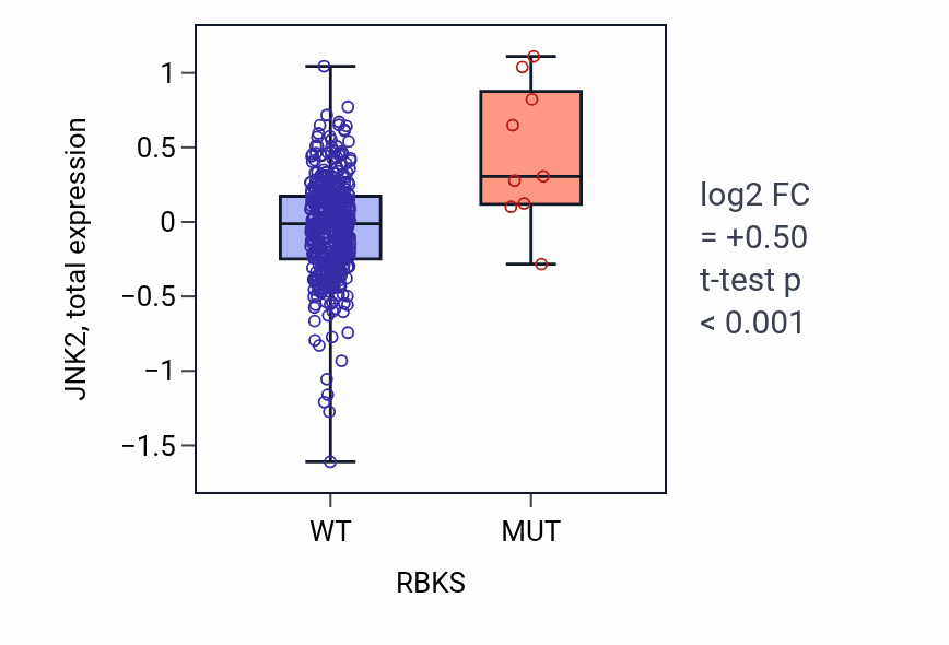 Box plot of JNK2 in RBKS-low vs RBKS-high samples in UCEC.