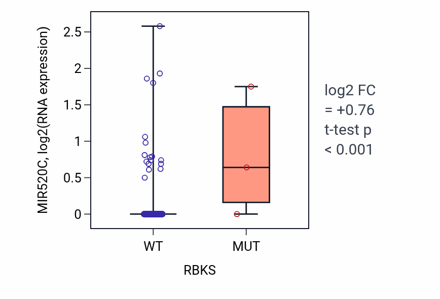 Box plot of MIR520C in RBKS-low vs RBKS-high samples in HNSC.