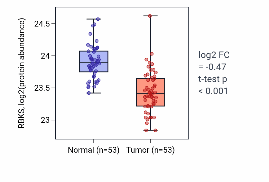 Tumor-vs-normal mass-spec protein box plot for RBKS in HNSC.