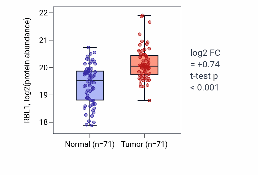 Tumor-vs-normal mass-spec protein box plot for RBL1 in LSCC.