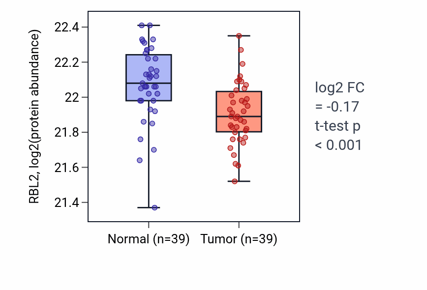 Tumor-vs-normal mass-spec protein box plot for RBL2 in HNSC.