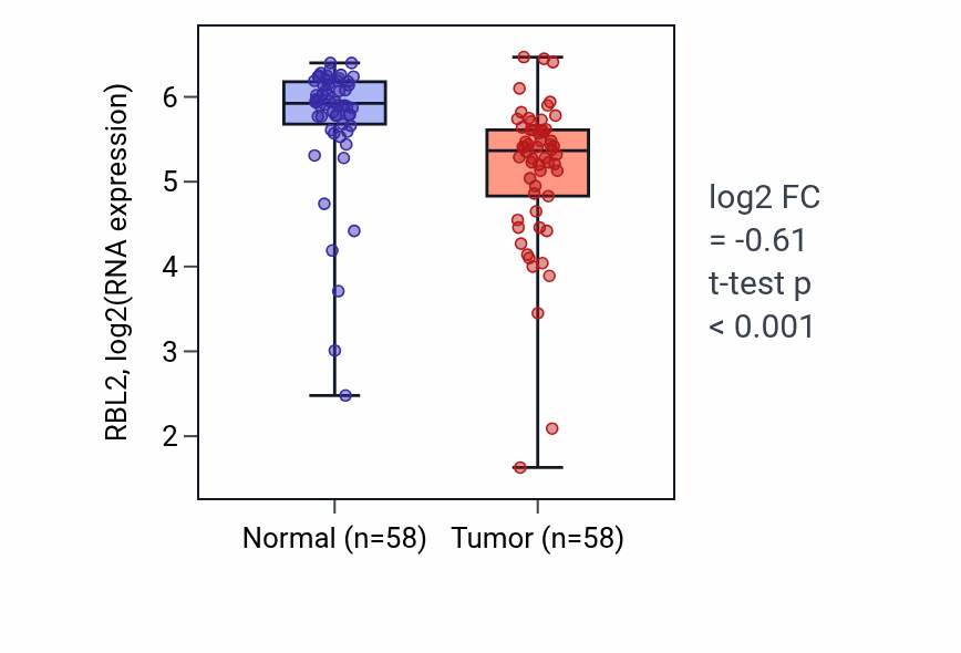 Tumor-vs-normal expression box plot for RBL2 RNA in THCA.