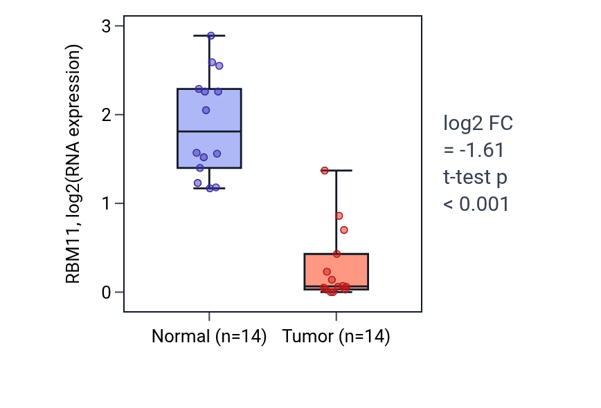 Tumor-vs-normal expression box plot for RBM11 in KIRC.