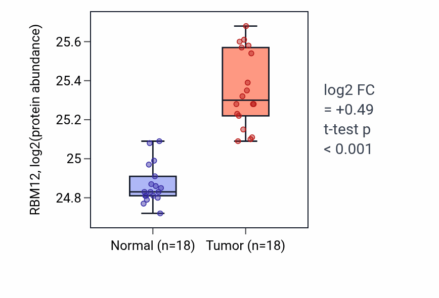 Tumor-vs-normal mass-spec protein box plot for RBM12 in COAD.