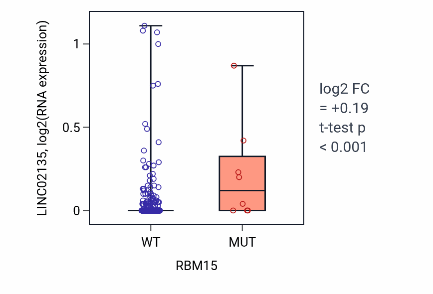 Box plot of LINC02135 in RBM15-low vs RBM15-high samples in LUSC.
