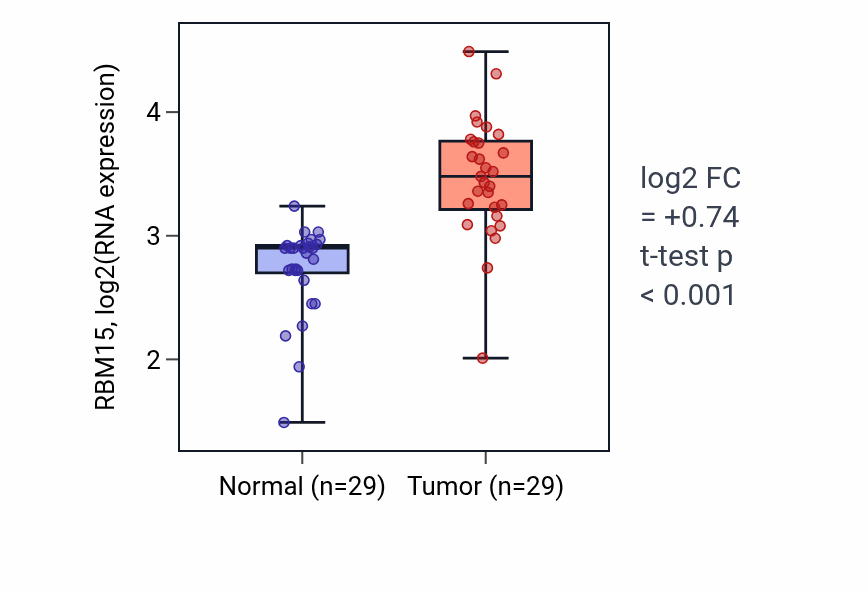 Tumor-vs-normal expression box plot for RBM15 RNA in HNSC.