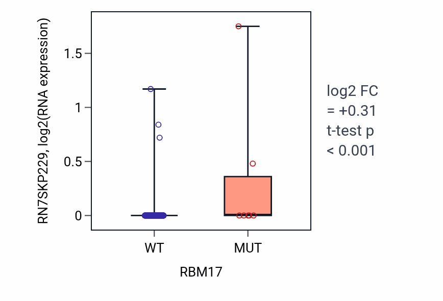 Box plot of RN7SKP229 in RBM17-low vs RBM17-high samples in COAD.
