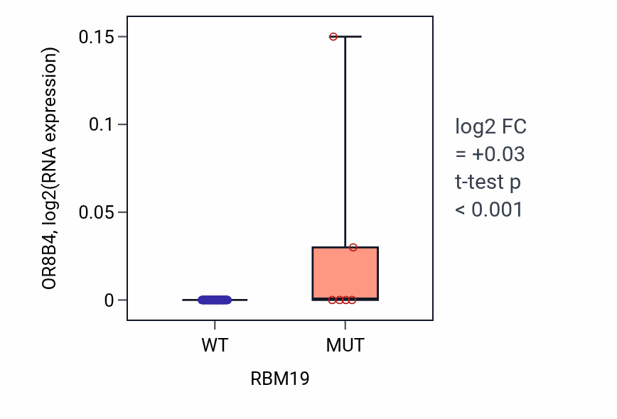 Box plot of OR8B4 in RBM19-low vs RBM19-high samples in CNS.