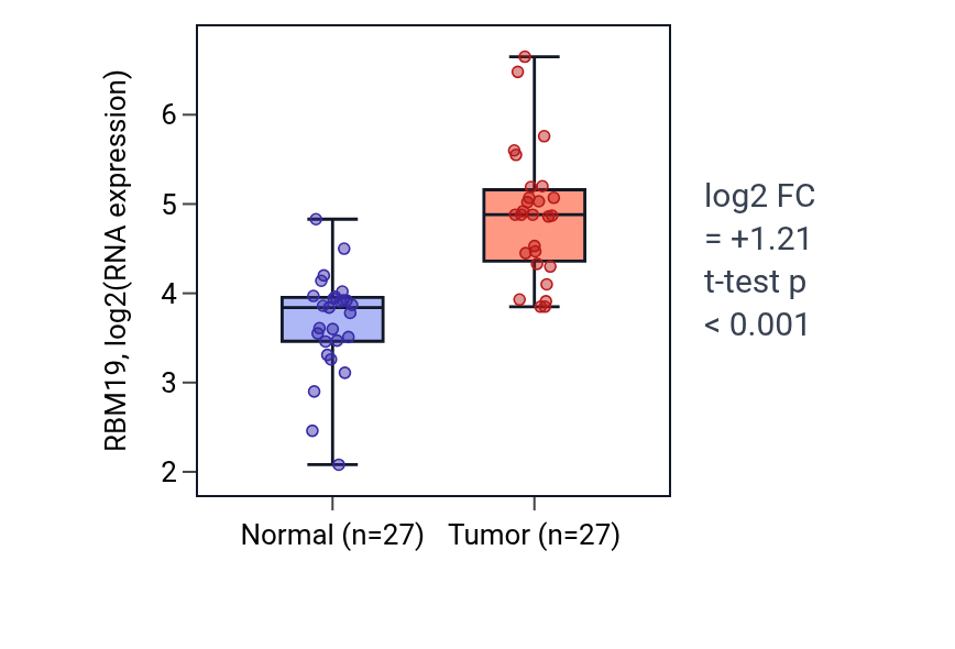 Tumor-vs-normal expression box plot for RBM19 in HNSC.