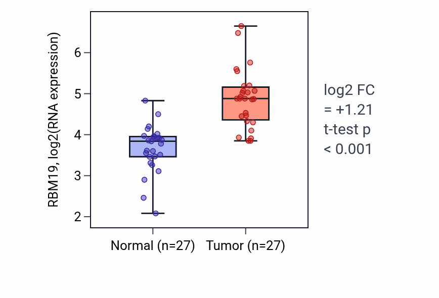 Tumor-vs-normal expression box plot for RBM19 RNA in HNSC.