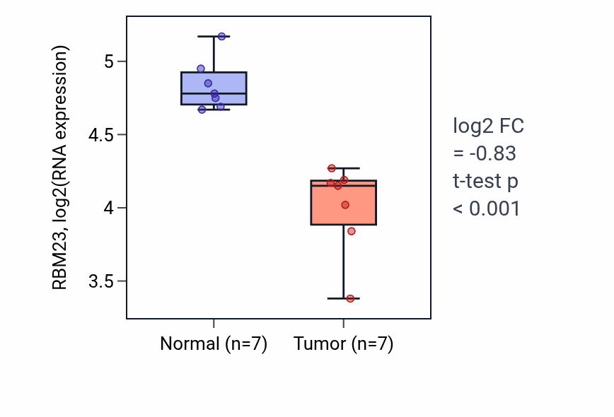 Tumor-vs-normal expression box plot for RBM23 RNA in THCA.