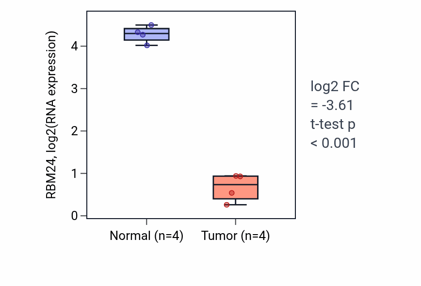 Tumor-vs-normal expression box plot for RBM24 RNA in BLCA.