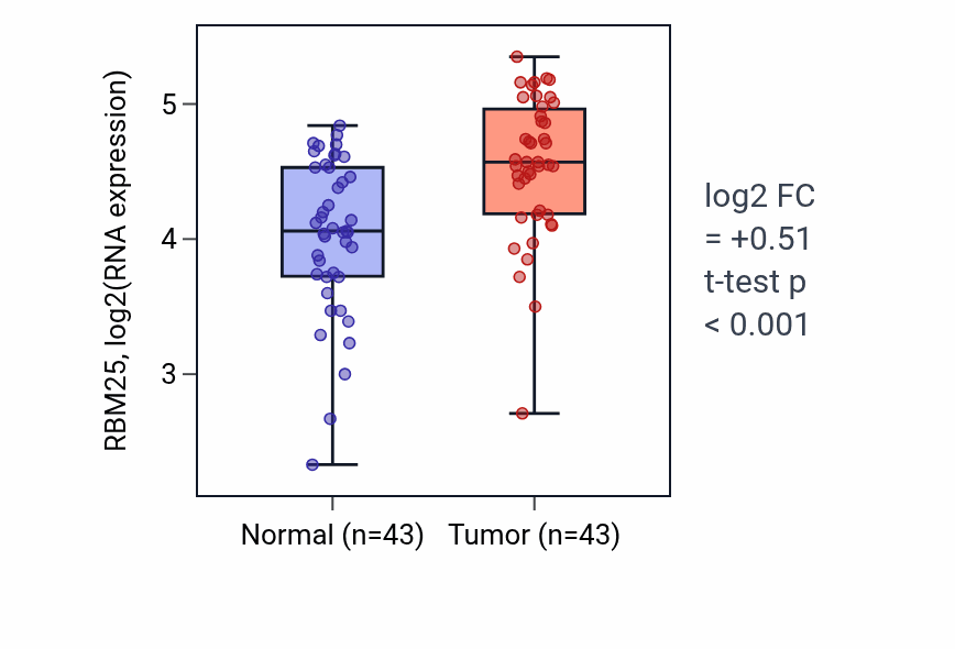 Tumor-vs-normal expression box plot for RBM25 RNA in HNSC.