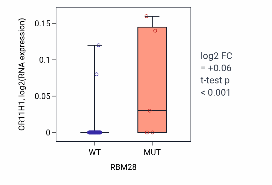 Box plot of OR11H1 in RBM28-low vs RBM28-high samples in BLOOD_Leukemia.