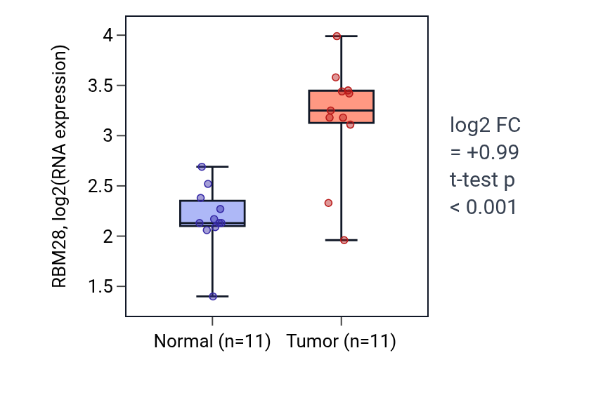 Tumor-vs-normal expression box plot for RBM28 in HNSC.