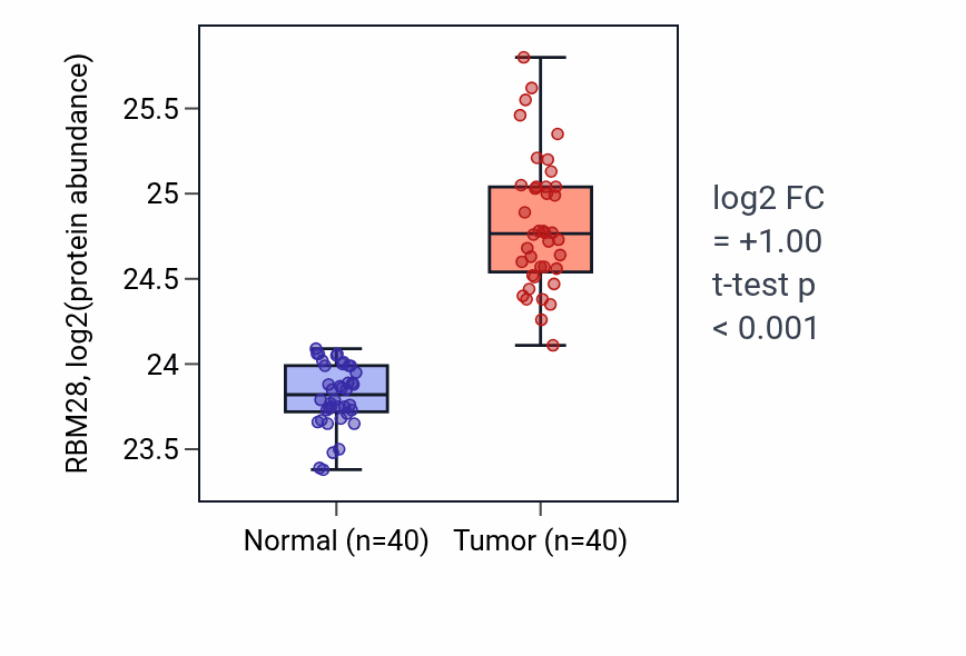 Tumor-vs-normal mass-spec protein box plot for RBM28 in COAD.