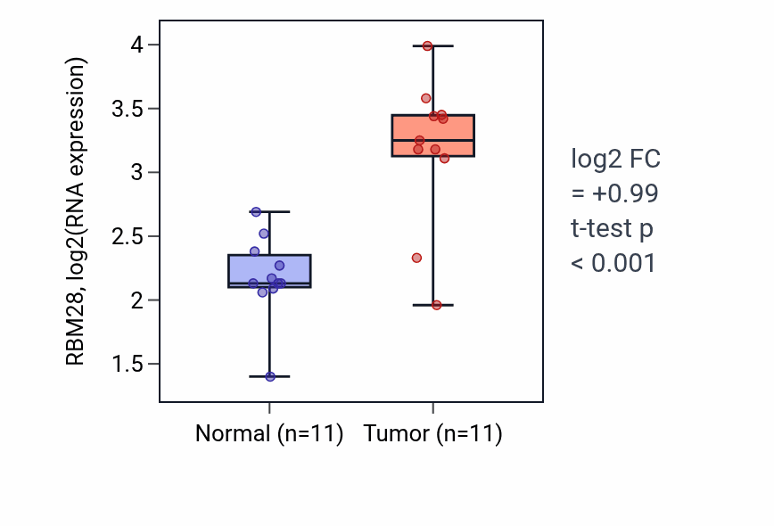 Tumor-vs-normal expression box plot for RBM28 RNA in HNSC.