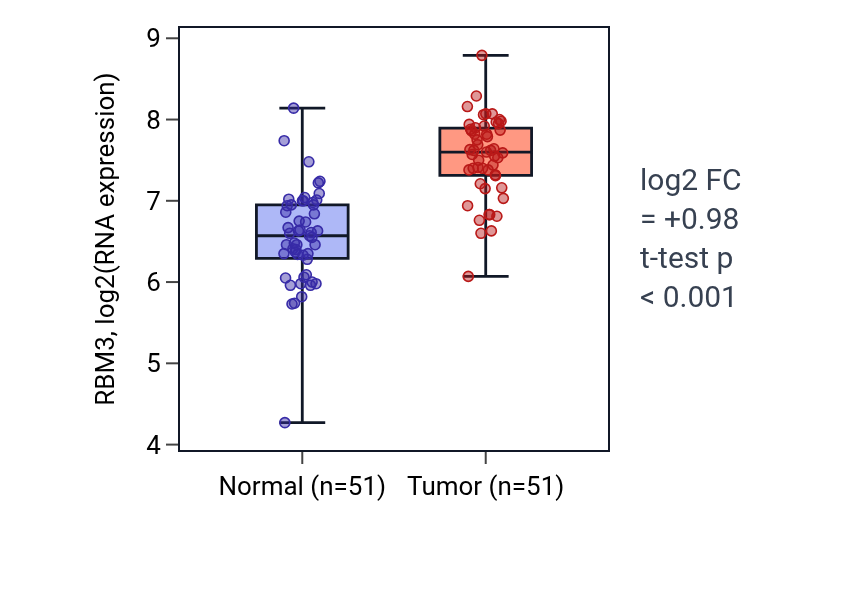 Tumor-vs-normal expression box plot for RBM3 in KIRC.