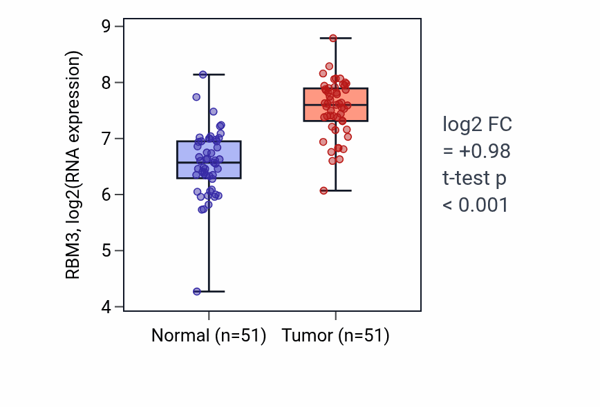 Tumor-vs-normal expression box plot for RBM3 RNA in KIRC.
