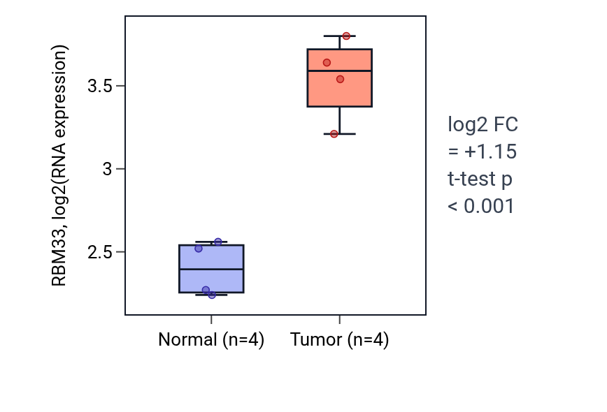 Tumor-vs-normal expression box plot for RBM33 in KIRP.