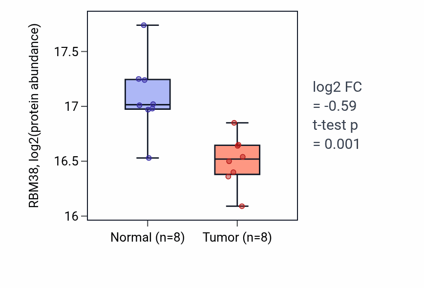 Tumor-vs-normal mass-spec protein box plot for RBM38 in HNSC.