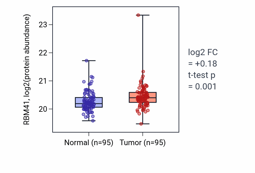 Tumor-vs-normal mass-spec protein box plot for RBM41 in LSCC.