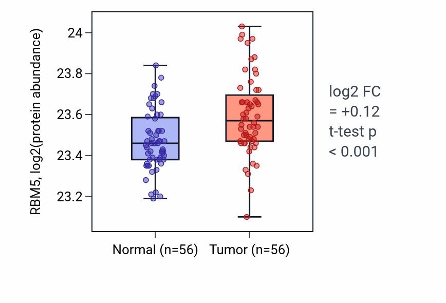Tumor-vs-normal mass-spec protein box plot for RBM5 in HNSC.