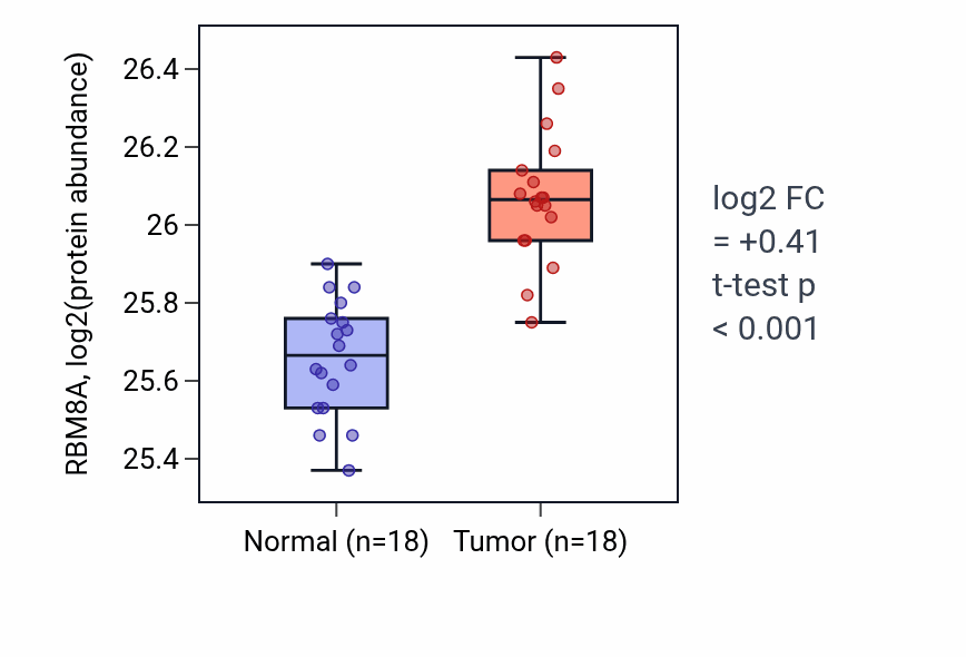 Tumor-vs-normal mass-spec protein box plot for RBM8A in COAD.
