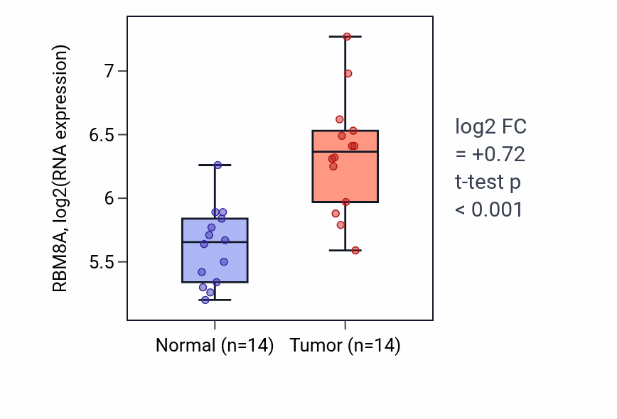 Tumor-vs-normal expression box plot for RBM8A RNA in BLCA.