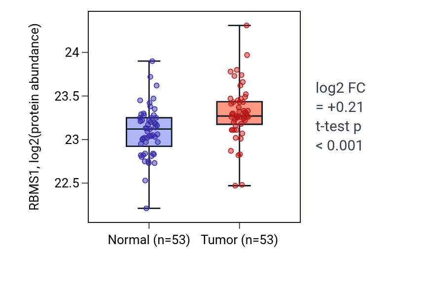 Tumor-vs-normal mass-spec protein box plot for RBMS1 in HNSC.