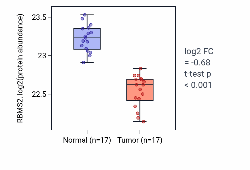 Tumor-vs-normal mass-spec protein box plot for RBMS2 in LSCC.