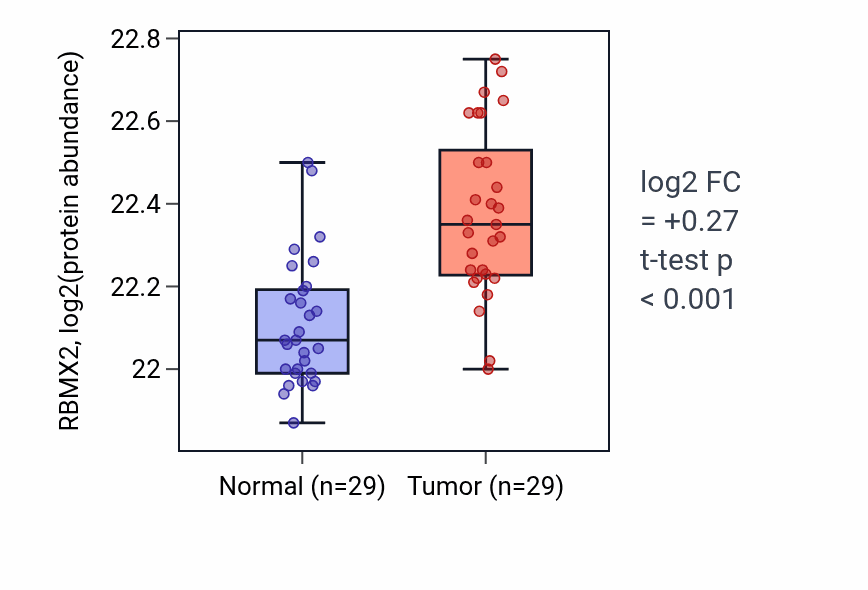 Tumor-vs-normal mass-spec protein box plot for RBMX2 in CCRCC.
