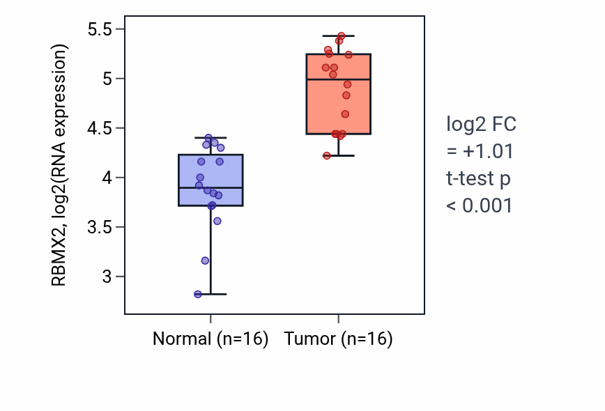 Tumor-vs-normal expression box plot for RBMX2 RNA in HNSC.