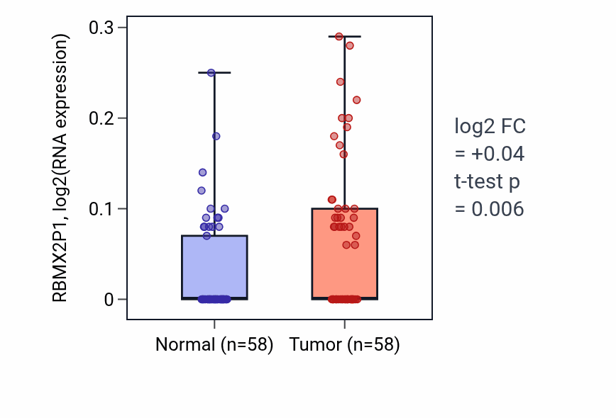 Tumor-vs-normal expression box plot for RBMX2P1 in THCA.
