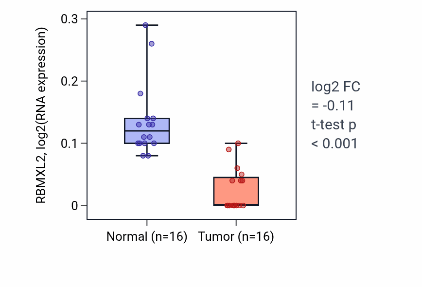 Tumor-vs-normal expression box plot for RBMXL2 in LUSC.