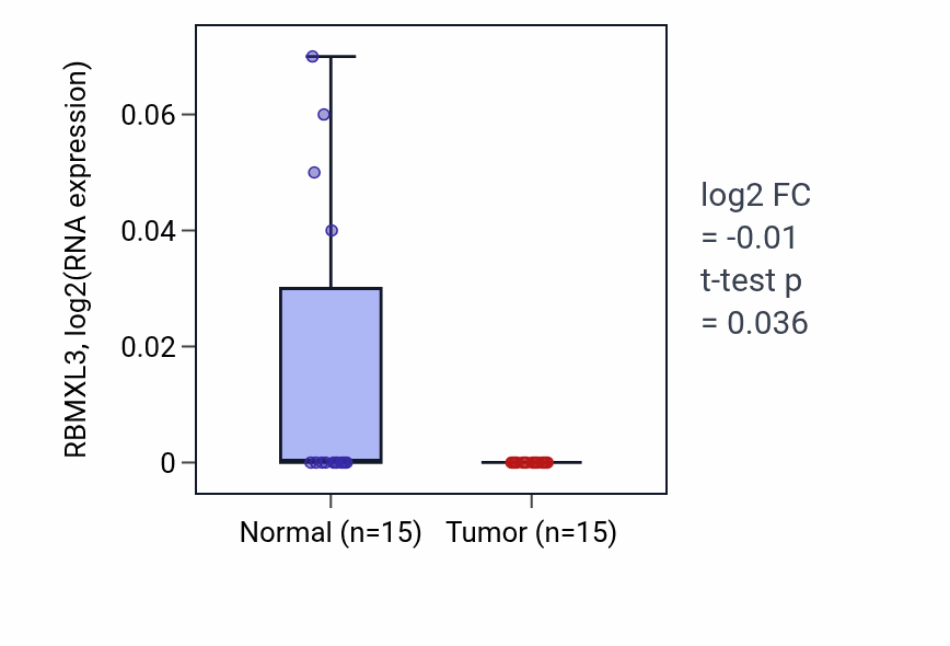 Tumor-vs-normal expression box plot for RBMXL3 RNA in LUAD.