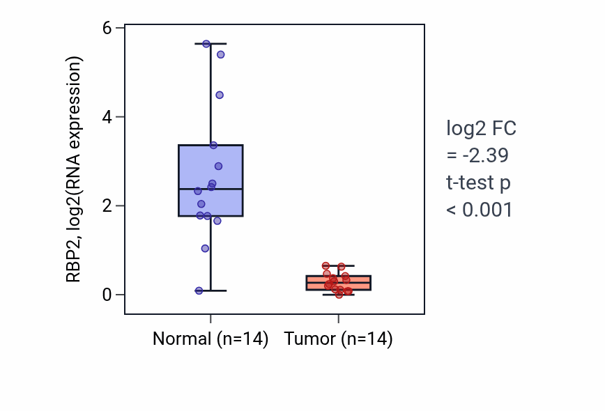 Tumor-vs-normal expression box plot for RBP2 RNA in KIRC.