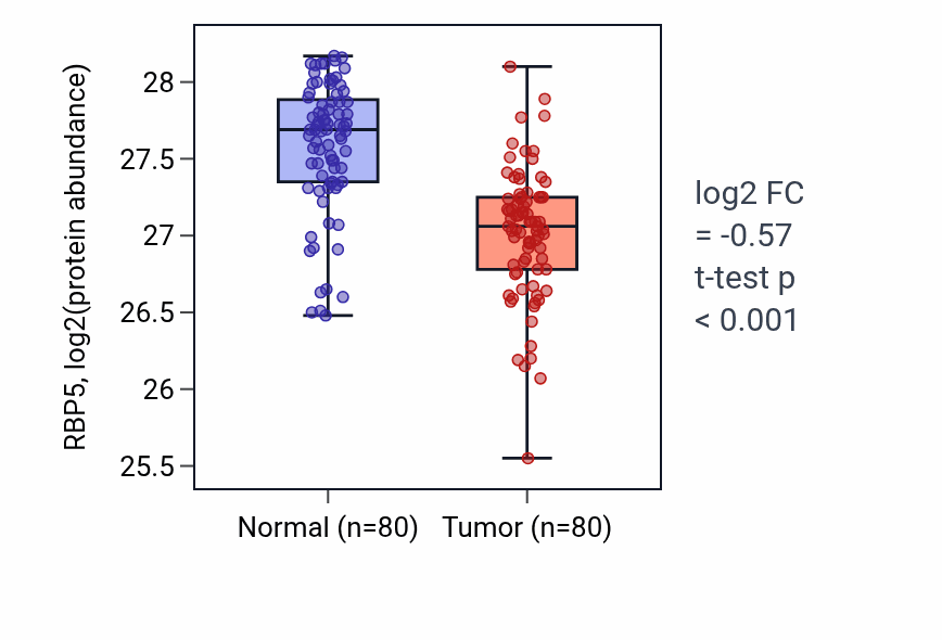 Tumor-vs-normal mass-spec protein box plot for RBP5 in CCRCC.