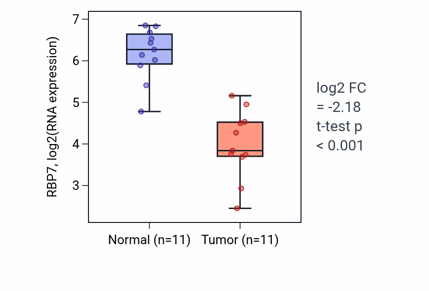 Tumor-vs-normal expression box plot for RBP7 RNA in KICH.