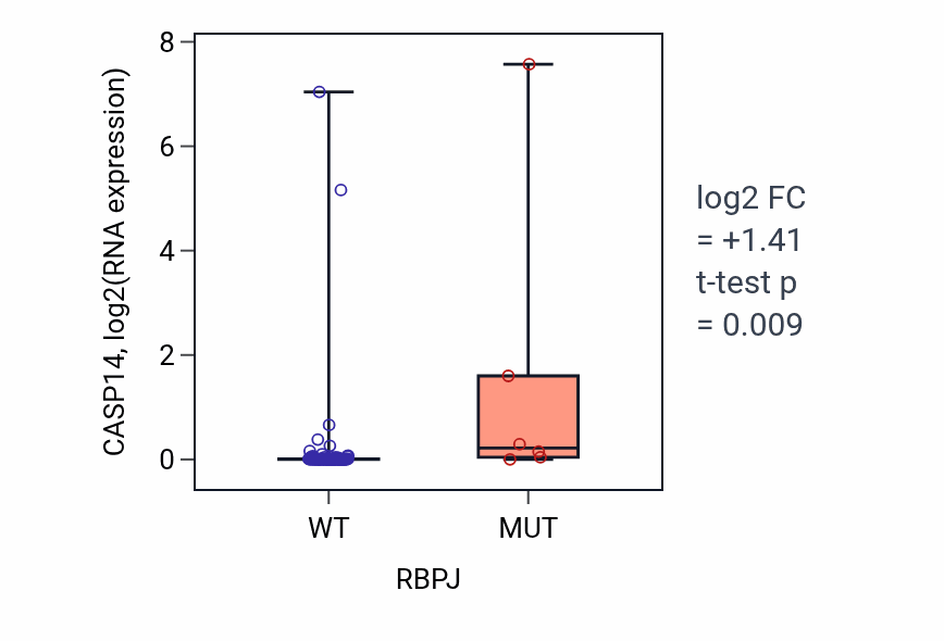 Box plot of CASP14 in RBPJ-low vs RBPJ-high samples in LUNG_NSCLC_LUAD.