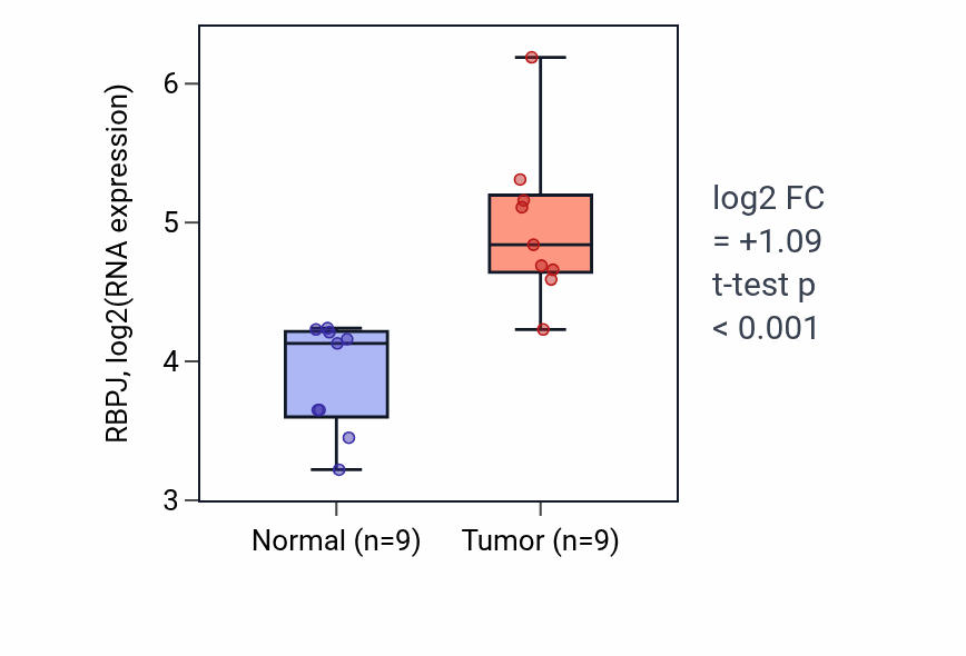 Tumor-vs-normal expression box plot for RBPJ RNA in HNSC.