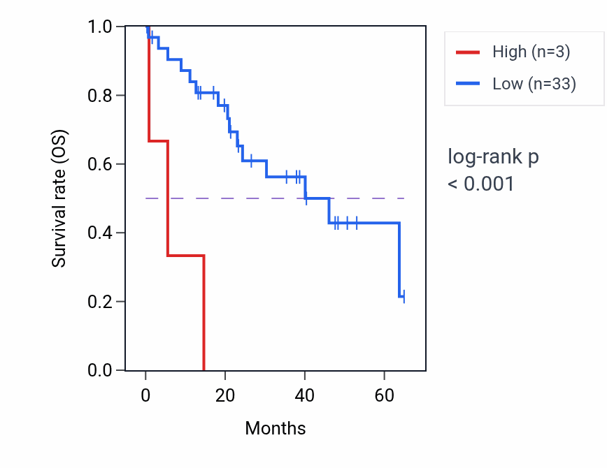 Kaplan&ndash;Meier survival curve for RBPMS2P1 RNA expression in CHOL: high vs low expression groups.