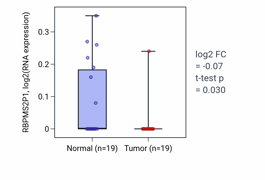 Tumor-vs-normal expression box plot for RBPMS2P1 in STAD.