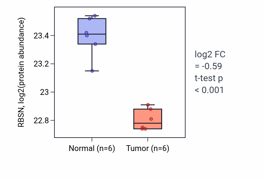 Tumor-vs-normal mass-spec protein box plot for RBSN in HNSC.