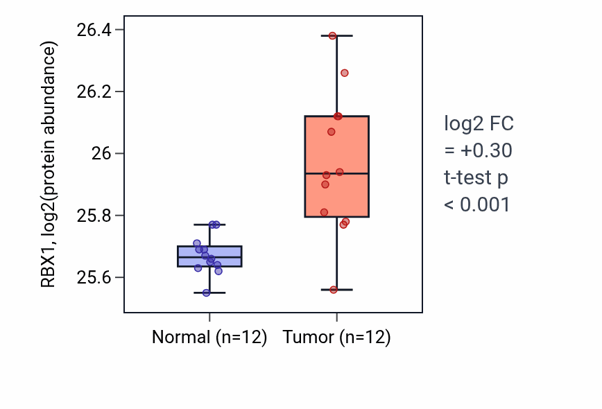 Tumor-vs-normal mass-spec protein box plot for RBX1 in LUAD.