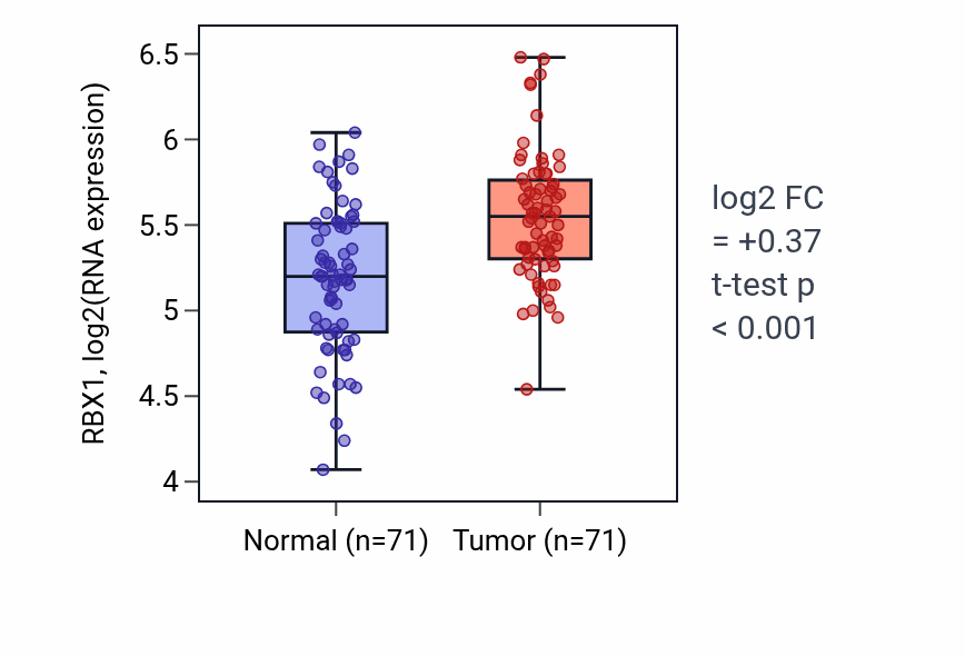 Tumor-vs-normal expression box plot for RBX1 RNA in KIRC.