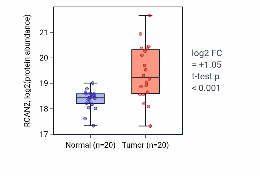 Tumor-vs-normal mass-spec protein box plot for RCAN2 in CCRCC.