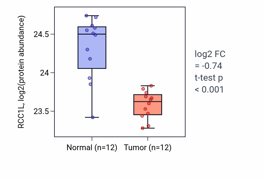 Tumor-vs-normal mass-spec protein box plot for RCC1L in CCRCC.