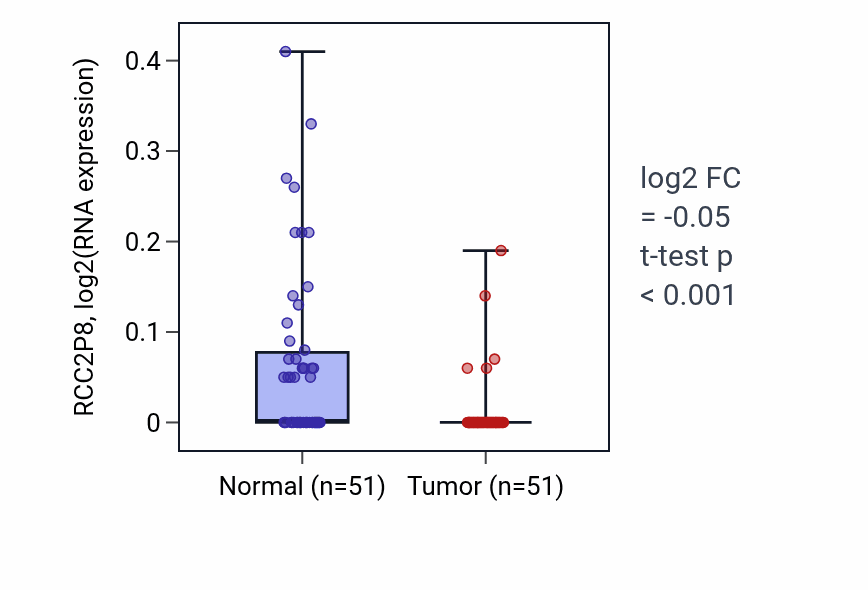 Tumor-vs-normal expression box plot for RCC2P8 in KIRC.